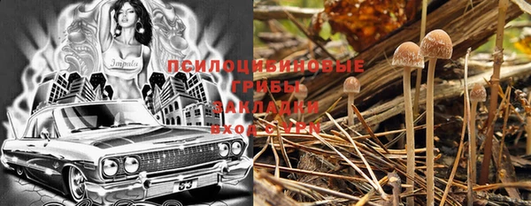 прущая мука Горно-Алтайск