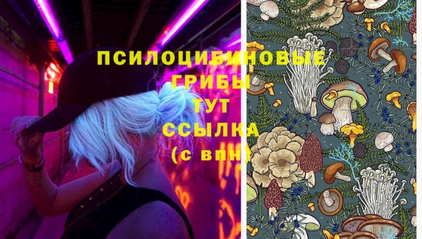 экстази Горняк