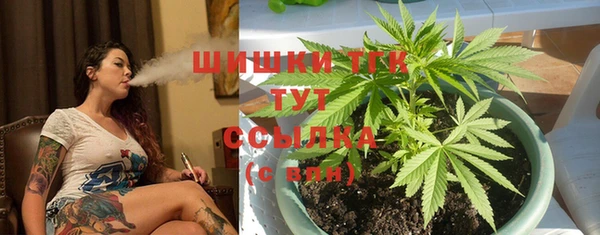 экстази Горняк